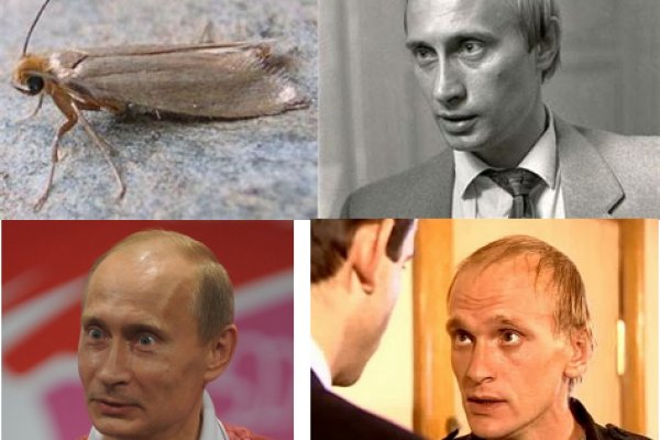 Что такое kraken в россии