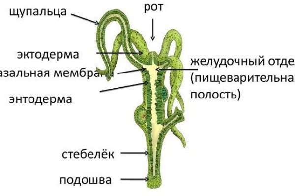Гидра сайт в тор браузере ссылка